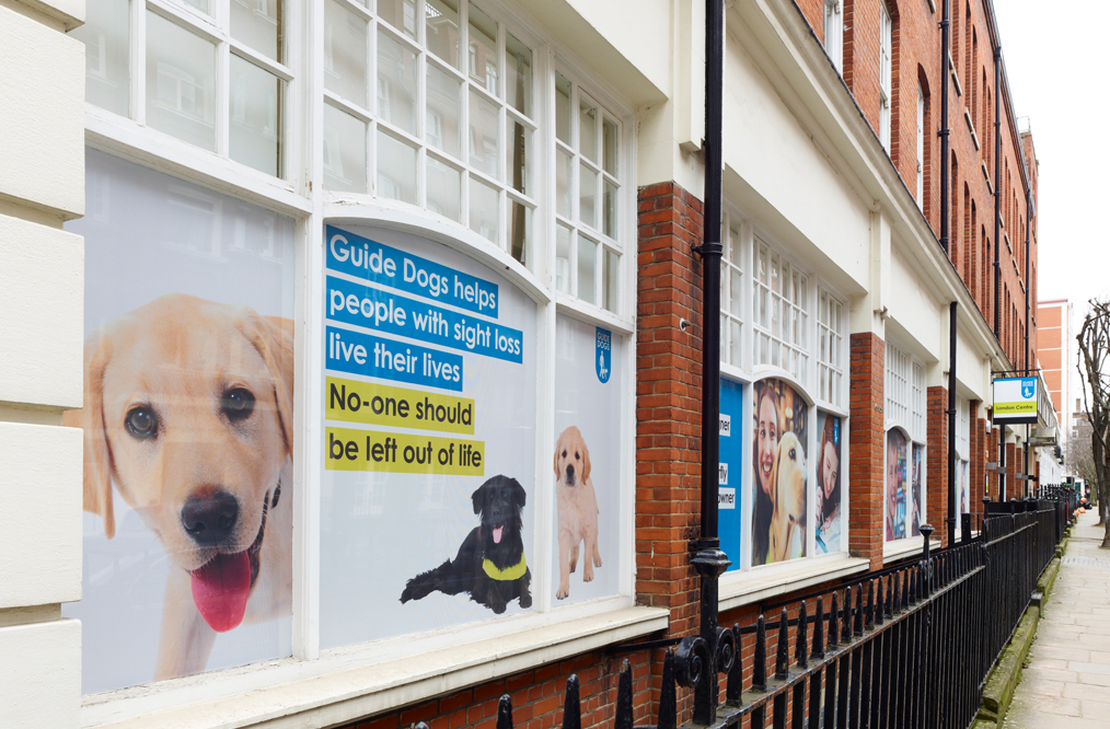 Guide Dogs: Helping people with sight loss live their lives