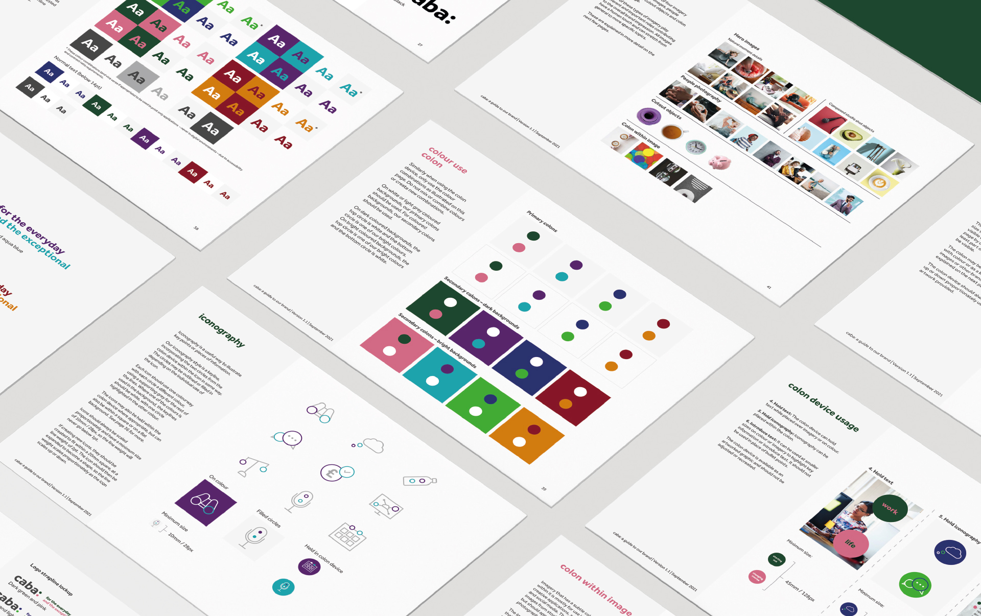 caba brand guidelines image